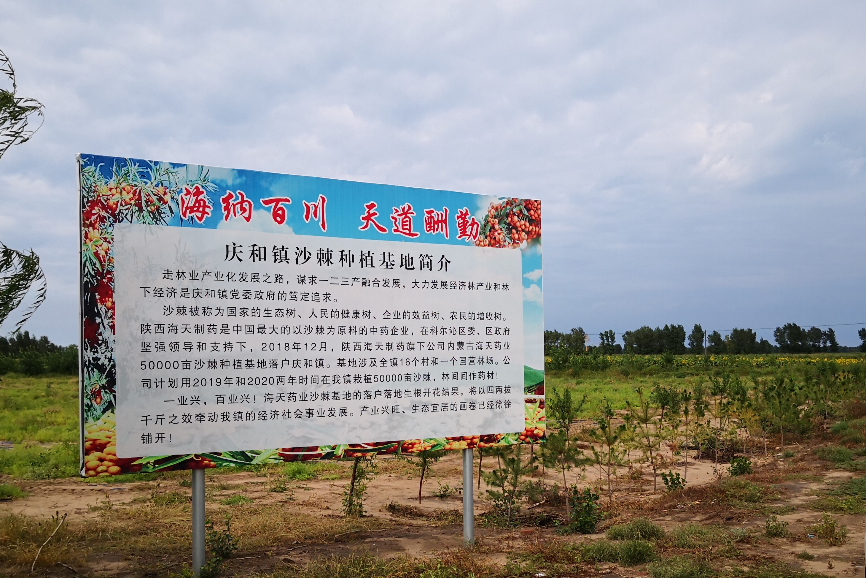 1630544220349399.jpg 1630544220349399.jpg