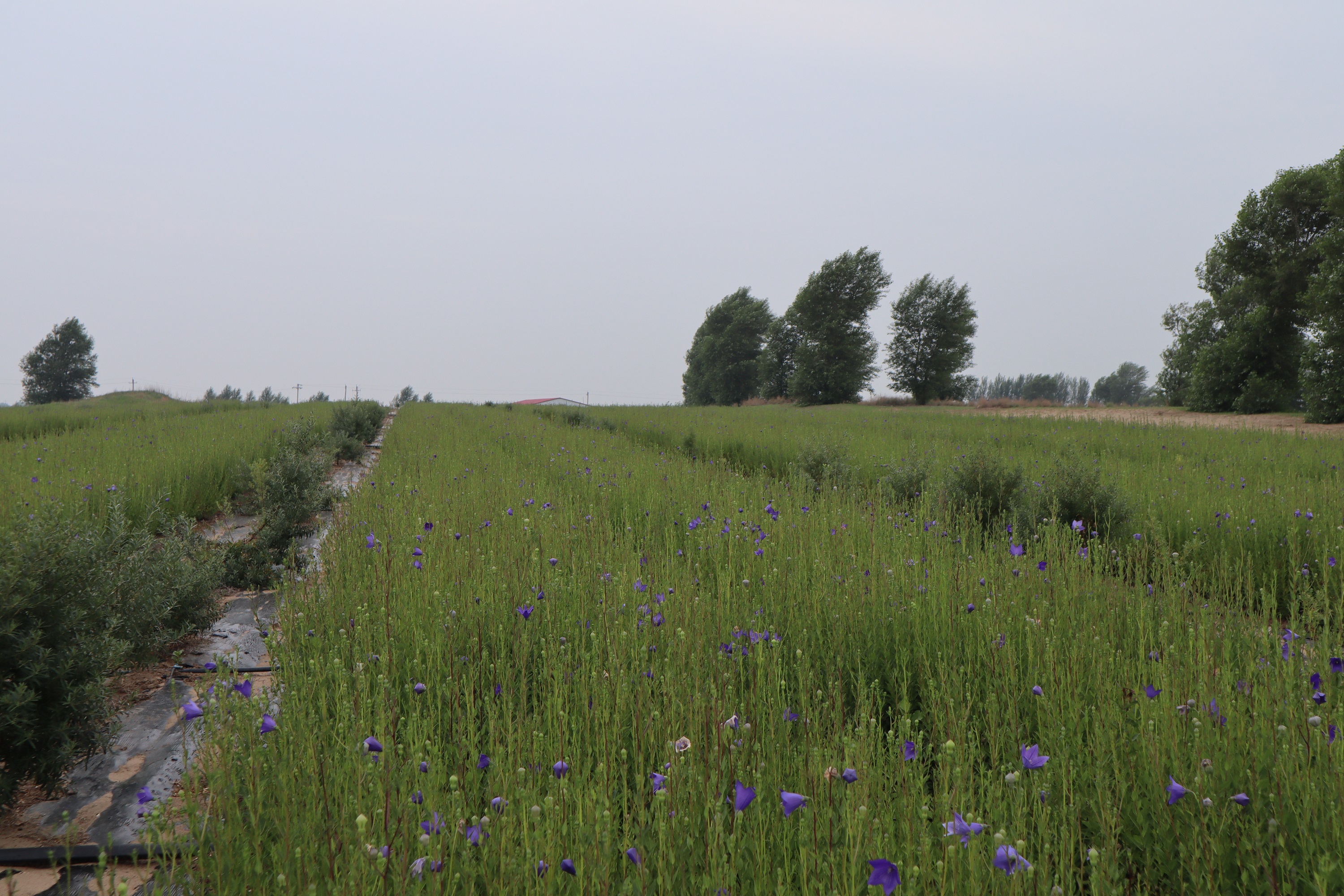 1631073433944562.jpg 00000000000000000000.jpg