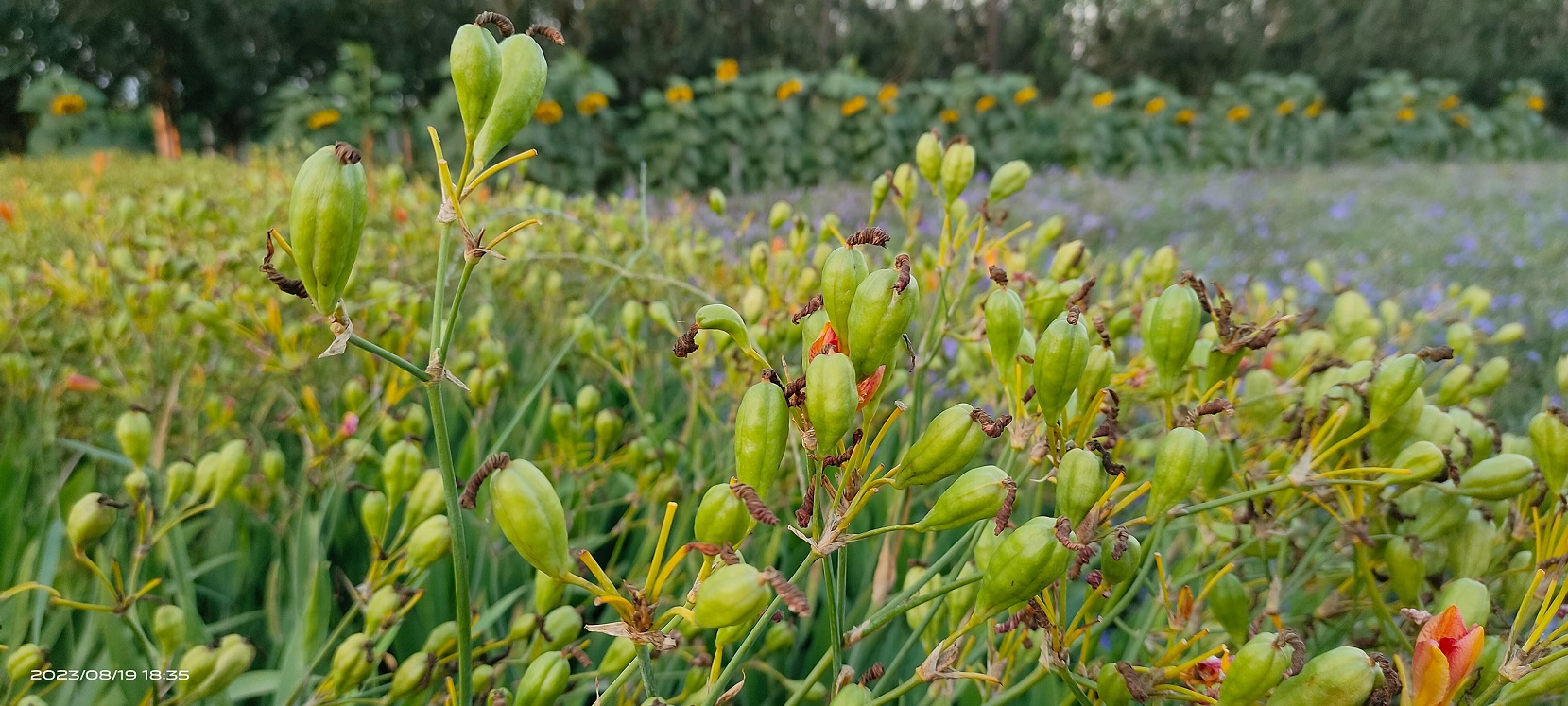 1711009127496057.jpg 微信圖片_20240321154700.jpg