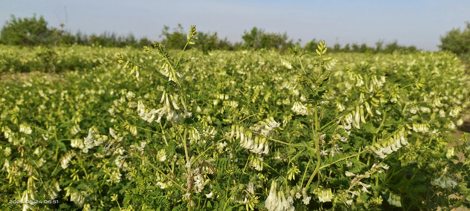 1711009238205258.jpg 微信圖片_20240321154708.jpg