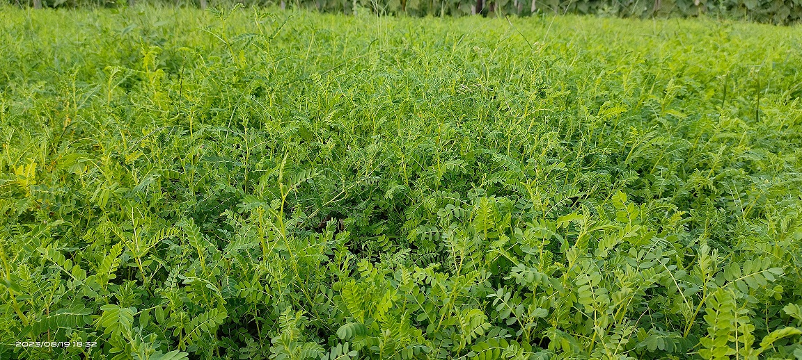 1711009324195118.jpg 微信圖片_202403211547031.jpg