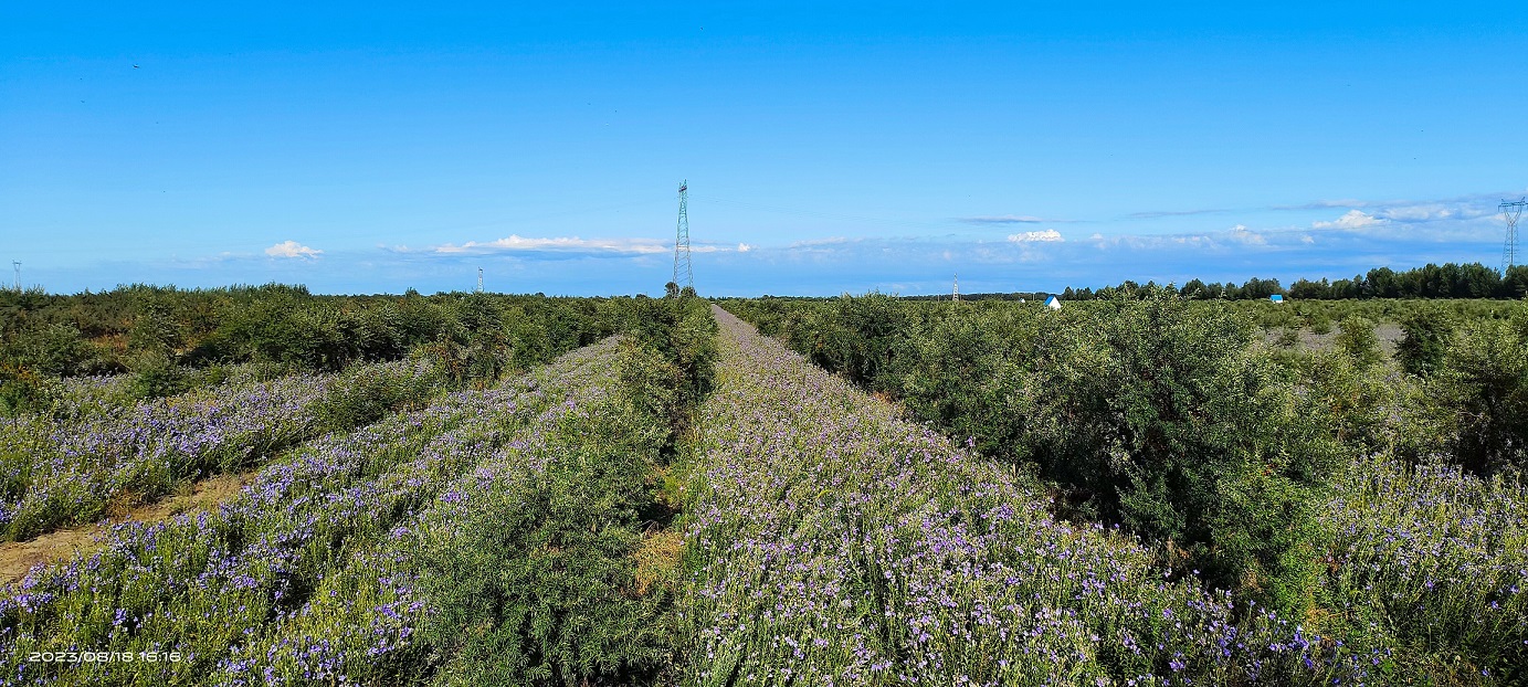 1711011415982884.jpg 微信圖片_20240321154711.jpg