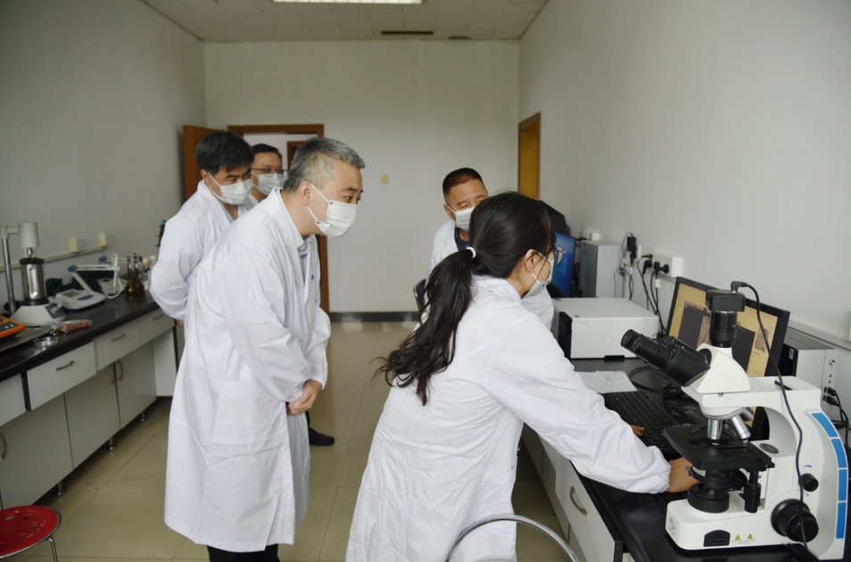 1725696294649660.png 1725696294649660.png